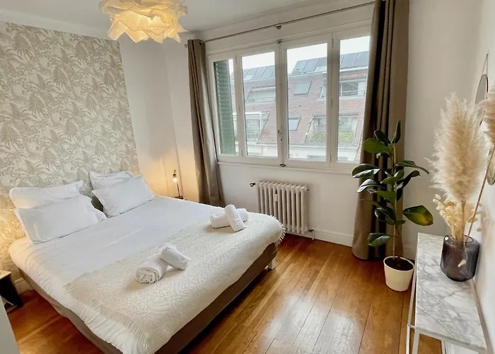 Cosy Rent דירה אנסי